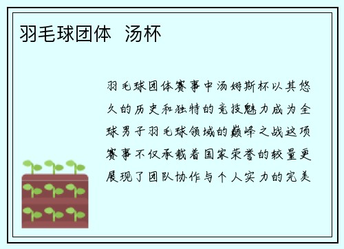 羽毛球团体  汤杯